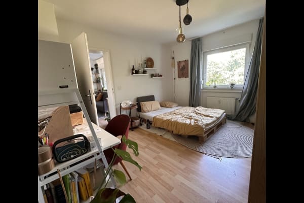 House sit in Heidelberg, Germany