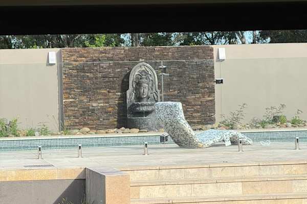 House sit in Mona Vale, NSW, Australia