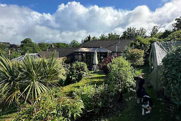 House sit in Okehampton, United Kingdom