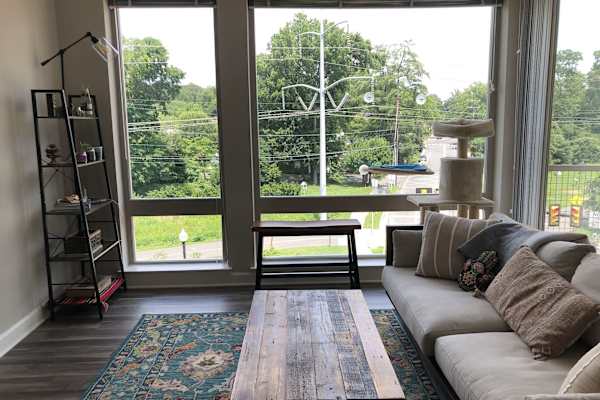 House sit in Falls Church, VA, US