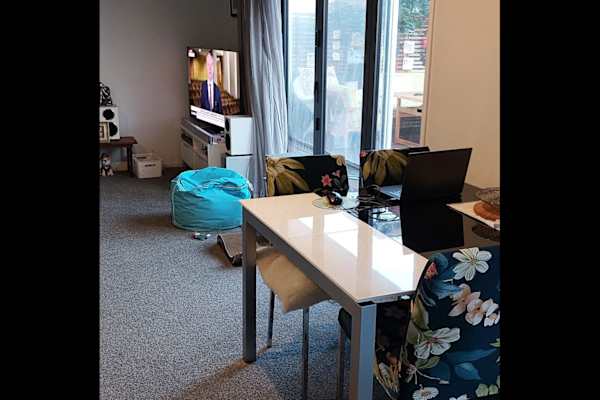 House sit in Christchurch, New Zealand