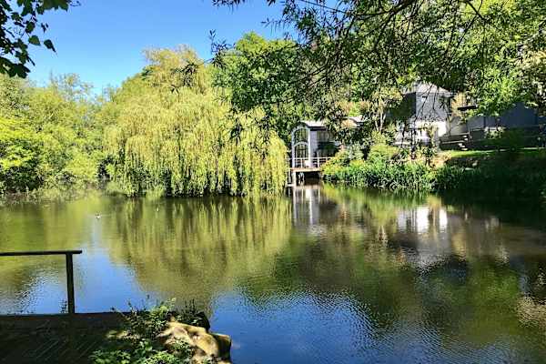 House sit in Saint Helier, Jersey