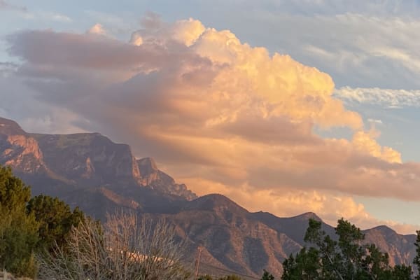 House sit in Placitas, NM, US