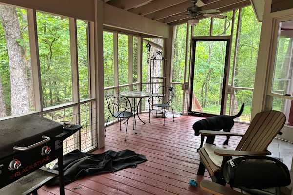 House sit in Durham, NC, US