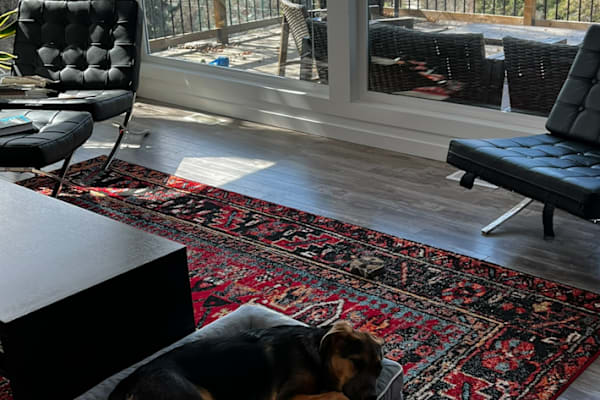 House sit in Naramata, BC, Canada