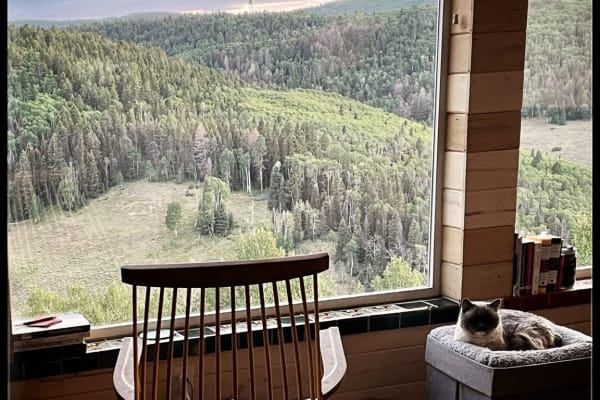 House sit in Gunnison, CO, US