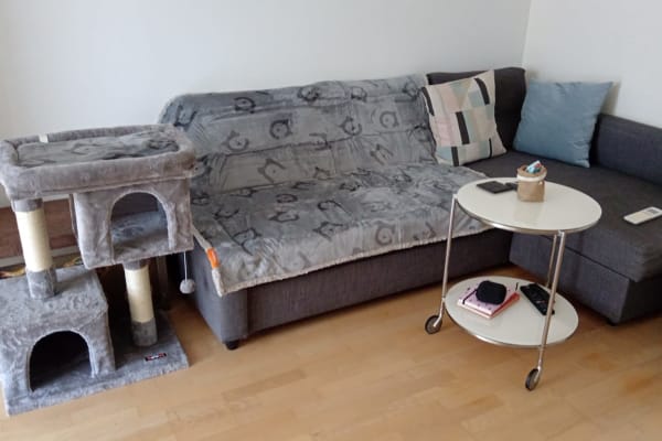 House sit in Vienna, Austria