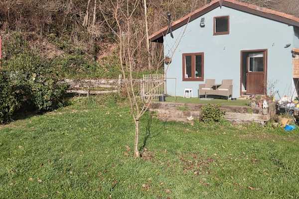 House sit in Infiesto, Spain