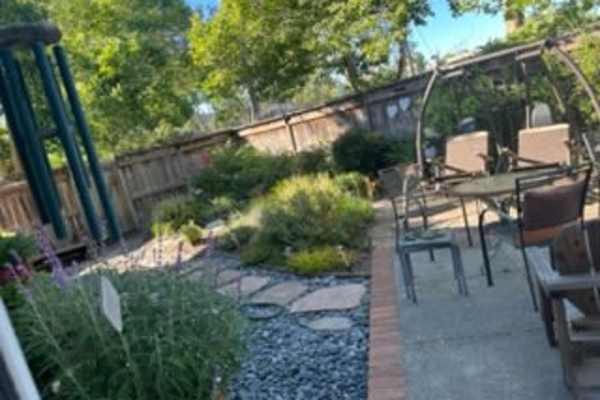 House sit in Petaluma, CA, US