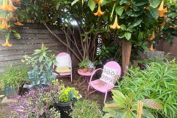 House sit in Oakland, CA, US