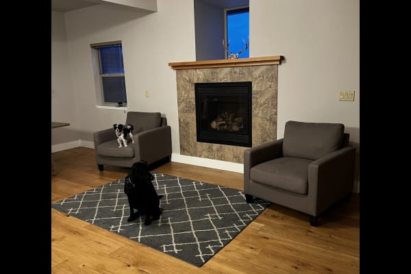 House sit in Bozeman, MT, US