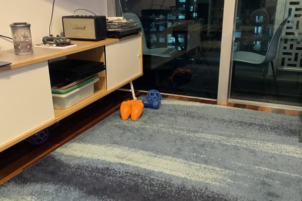 House sit in Wan Chai, Hong Kong