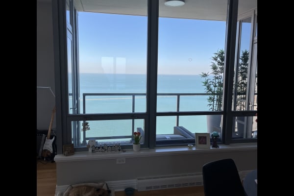 House sit in Chicago, IL, US