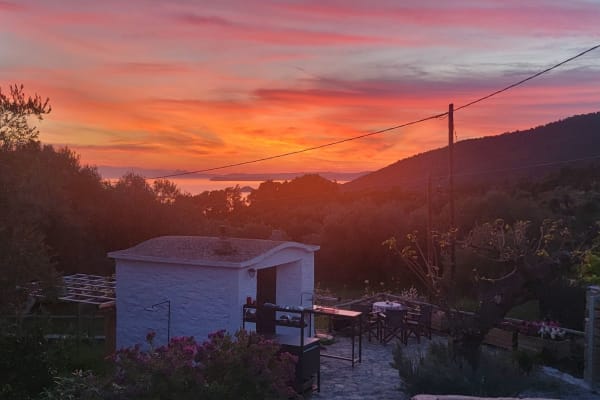 House sit in Skópelos, Greece