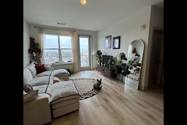 House sit in Northglenn, CO, US