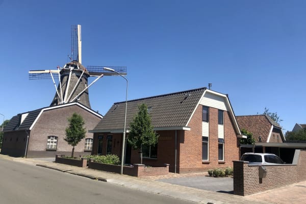 House sit in Putten, Netherlands