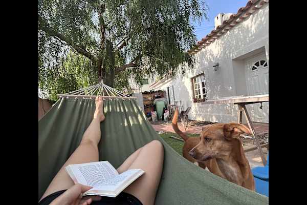 House sit in Lourinhã, Portugal