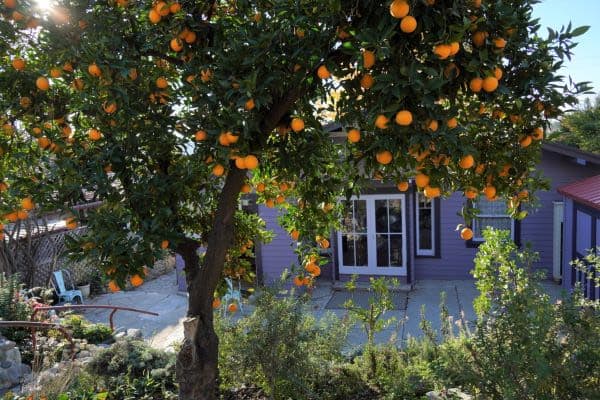 House sit in Highland Park, CA, US