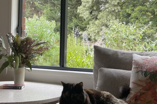 house sitting jobs victoria House sit in Frankston East, VIC, Australia