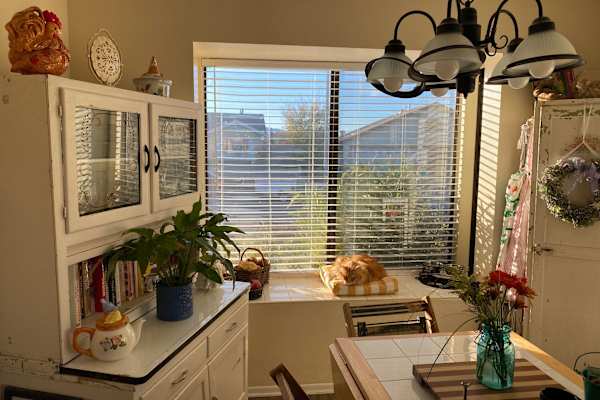 House sit in Palmdale, CA, US