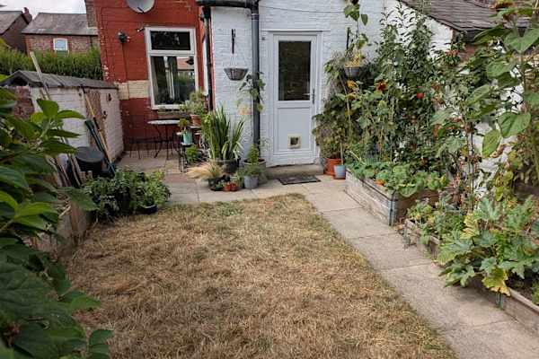 House sit in Manchester, United Kingdom