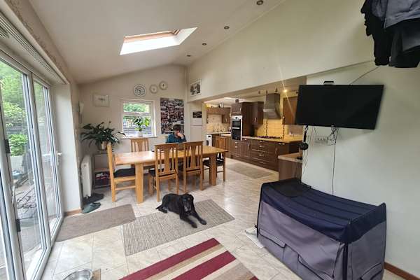 House sit in St Albans, United Kingdom