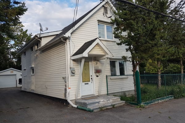 House sit in Ottawa, ON, Canada
