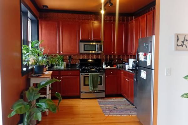 House sit in Chicago, IL, US