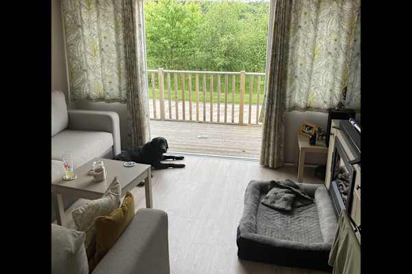 House sit in Forres, United Kingdom