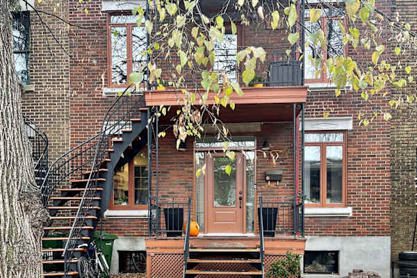 House sit in Montréal, QC, Canada