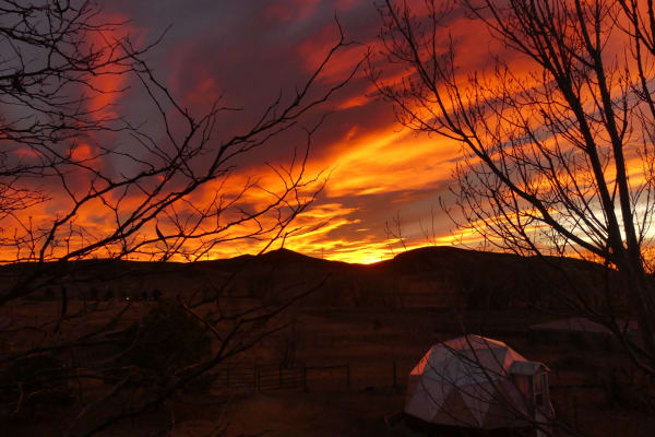 House sit in Loveland, CO, US