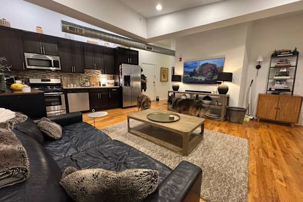 House sit in Philadelphia, PA, US