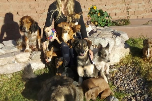 House sit in Urubamba, Peru