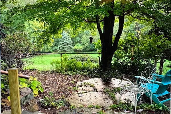 House sit in Baltimore, MD, US