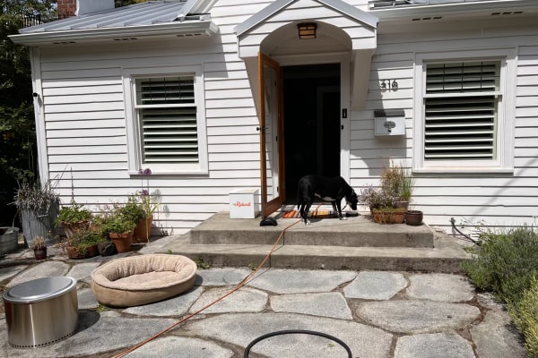 House sit in Seattle, WA, US