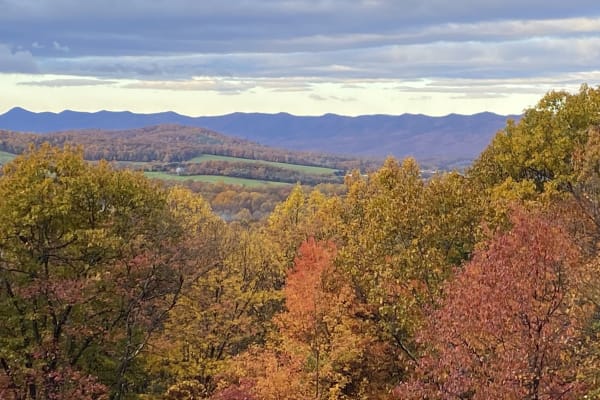 House sit in Front Royal, VA, US