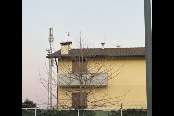 House sit in Vicenza, Italy