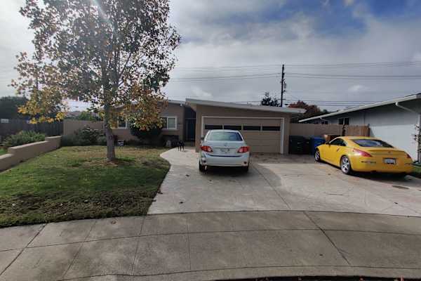 House sit in San Mateo, CA, US