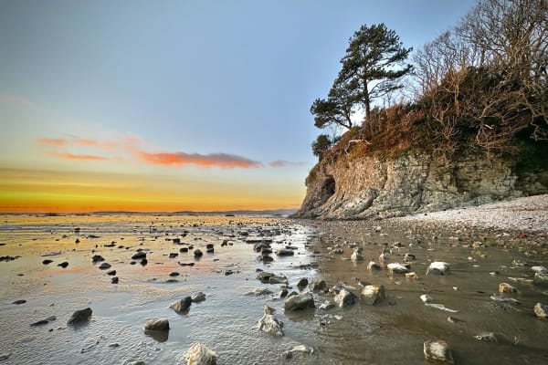 House sit in Silverdale, United Kingdom