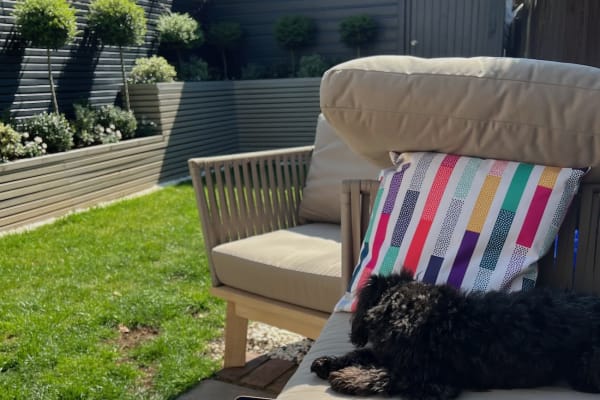 House sit in Hersham, United Kingdom