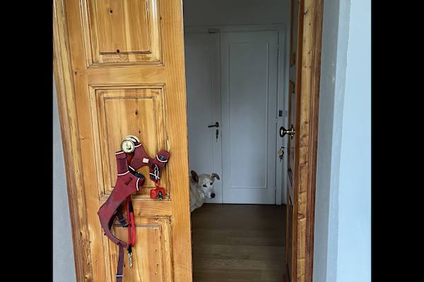 House sit in Siena, Italy