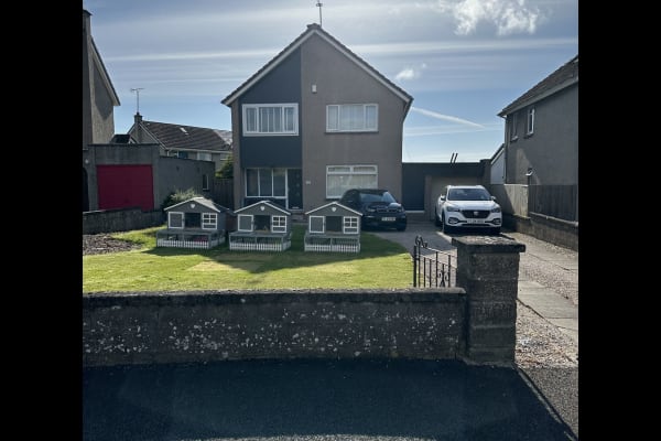 House sit in Monifieth, United Kingdom