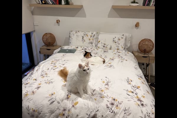 House sit in Melbourne, VIC, Australia