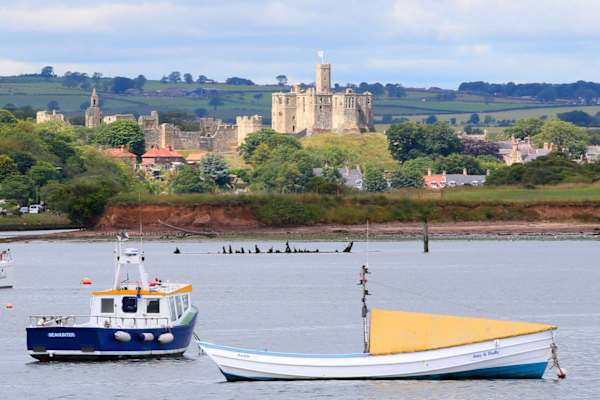 House sit in Amble, United Kingdom
