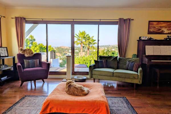 House sit in Los Angeles, CA, US