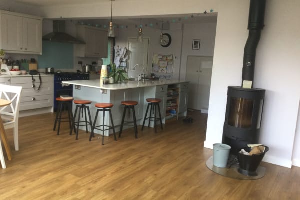 House sit in High Wycombe, United Kingdom