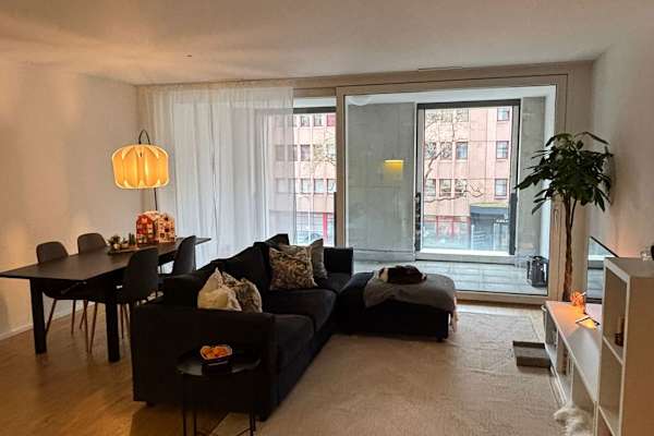 House sit in Zürich, Switzerland