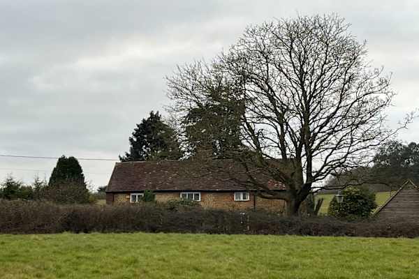 House sit in Shackleford, United Kingdom