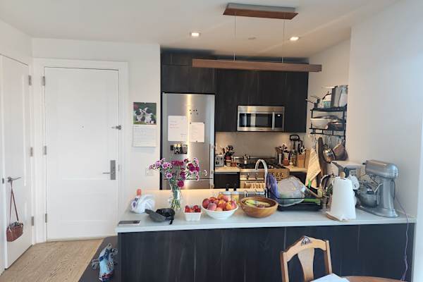 House sit in New York City, NY, US