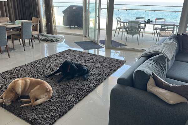 House sit in Valletta, Malta